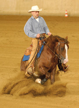 Reining - 