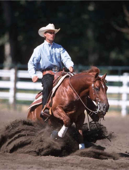 Reining - 