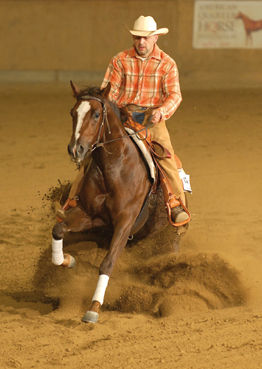 Reining - 