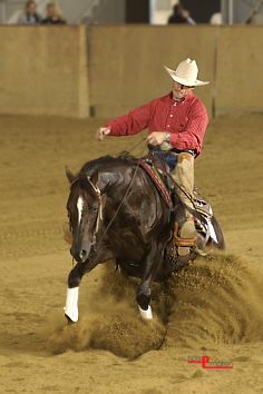 Reining - 