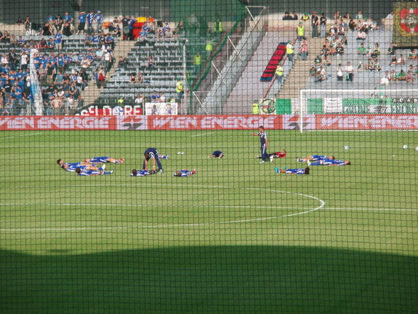 Rapid vs Schalke - 