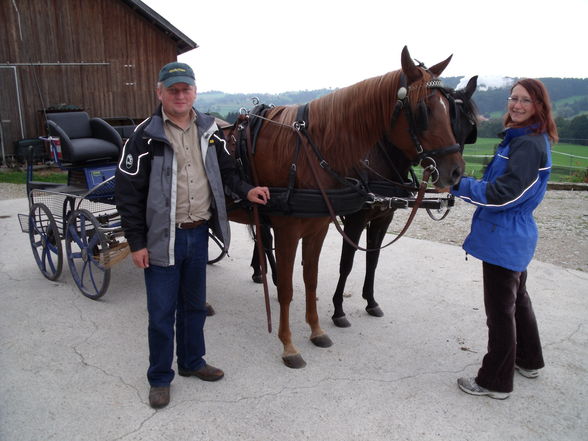 Sabi und Shaya beim Kutschen fahren - 