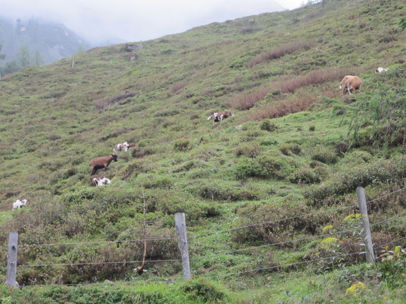 Großglockner2011 - 