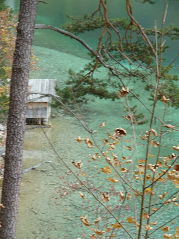 Schloss Neuschwanstein2011 - 