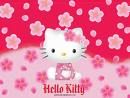 Hello Kitty ! - 