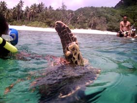 Seychellen - 