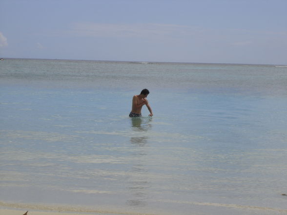 Mauritius 2007 - 