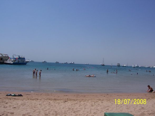 Urlaub in Ägypten 2008 - 