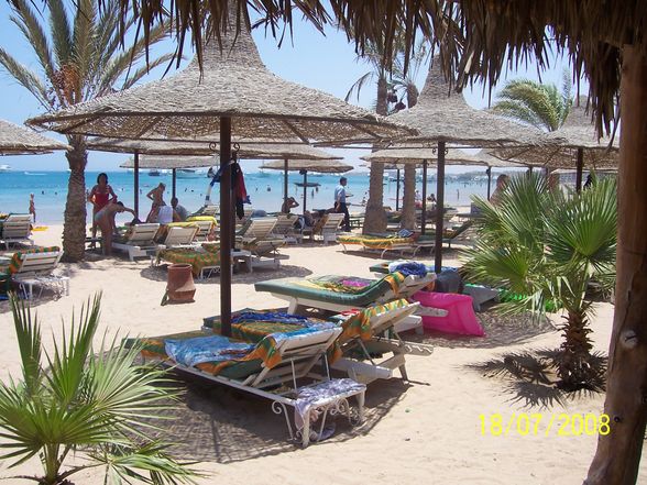 Urlaub in Ägypten 2008 - 