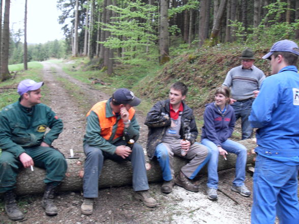 Maibaum 2009 - 