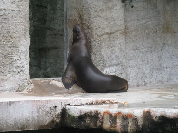 tierpark schönbrunn - 