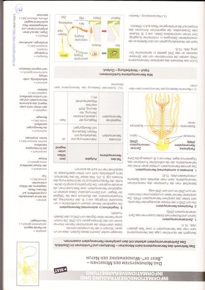 physik - 