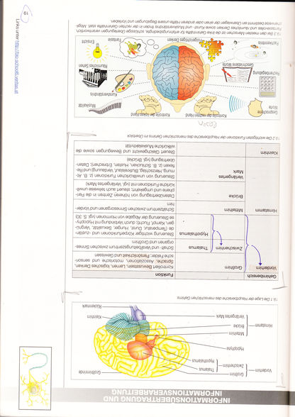 physik - 