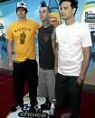 3) Blink 182!!! - 