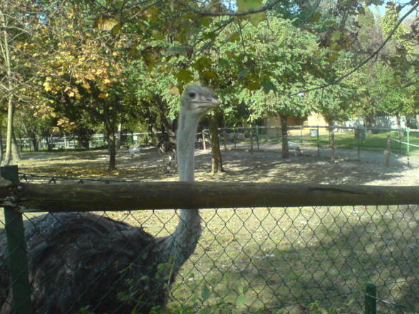 Linz Tierpark 16.10.07 - 