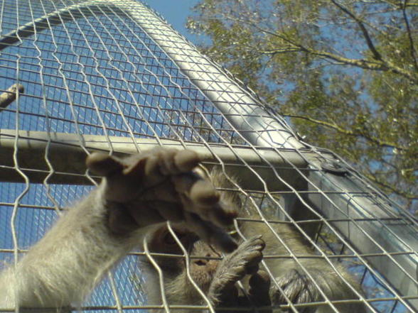 Linz Tierpark 16.10.07 - 