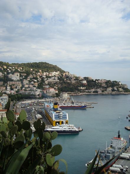 NiZzA - 