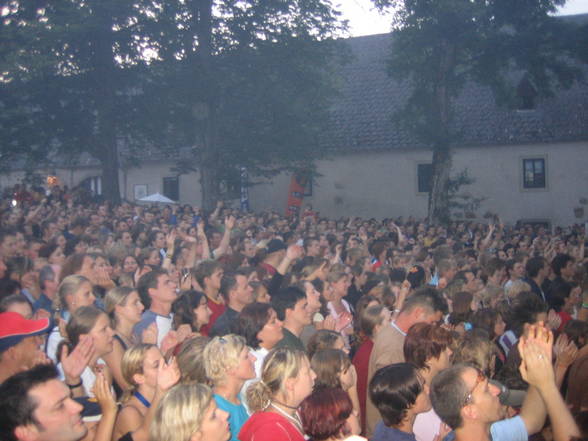 Konzerte & Festivals - 