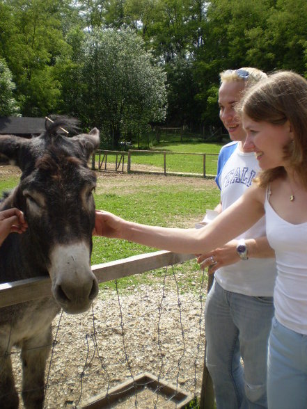 Wildpark Schloß Ortenburg, Bezirk - 