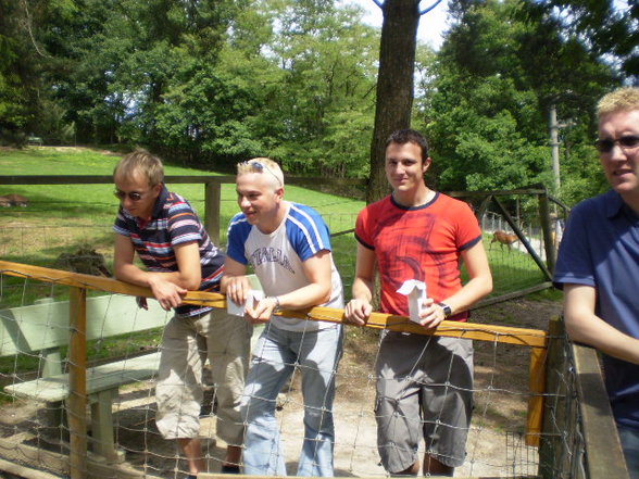 Wildpark Schloß Ortenburg, Bezirk - 