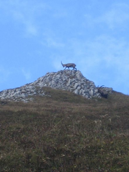 Bersteigen Reichenstein - 