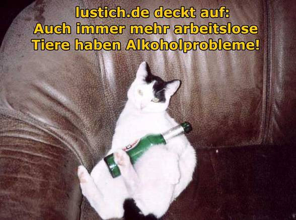 Lustige Bilder - 