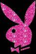 Playboybunnys - 