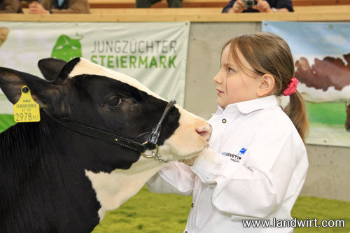 Bundesjungzüchterchampionat 2010 - 