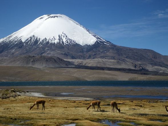 Chile, Boliene und Peru... - 