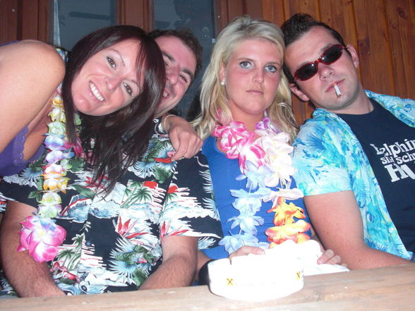 * * Hawaiiparty * * - 