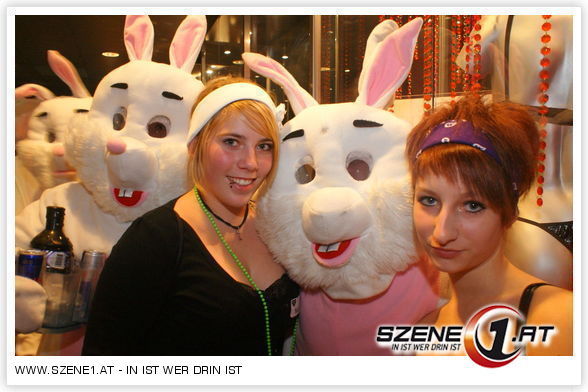 Die Party Hasen!!! - 