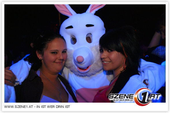 Die Party Hasen!!! - 