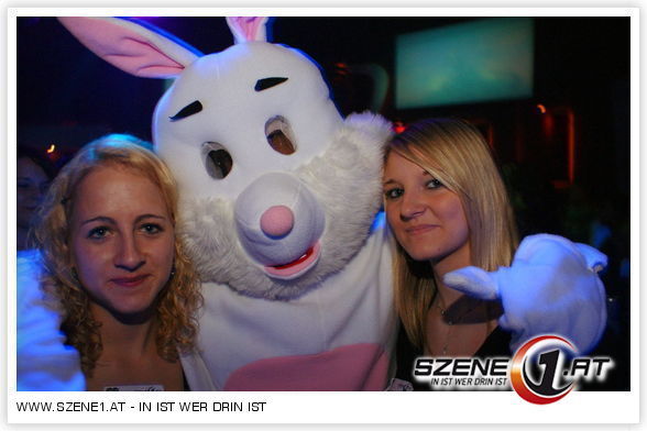 Die Party Hasen!!! - 