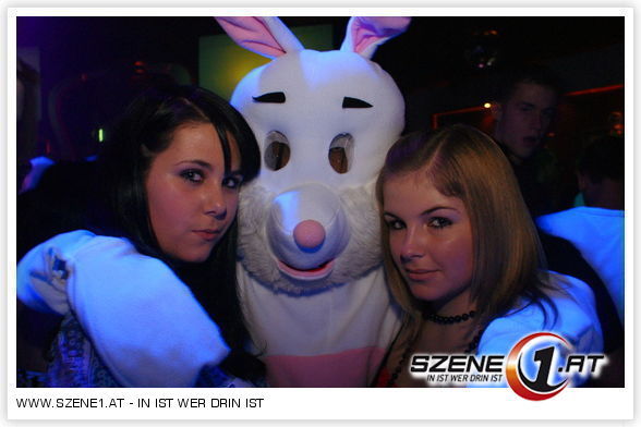 Die Party Hasen!!! - 