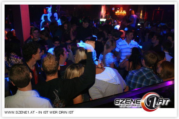 Die Party Hasen!!! - 