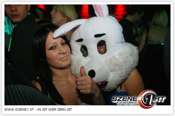 Die Party Hasen!!! - 