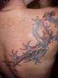 ~~~TaToo's~~~ - 