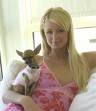 Paris Hilton - 