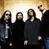 Soad Rox 4eva - 