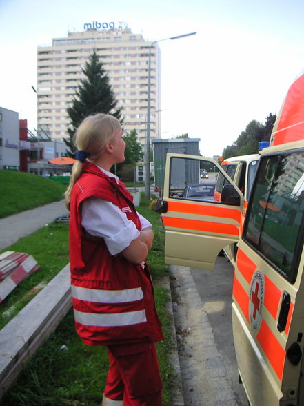 der ganz normale dienstwahnsinn - 