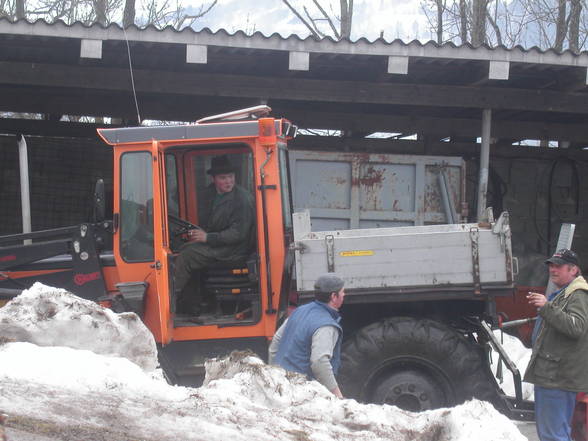  auf da leisch - 