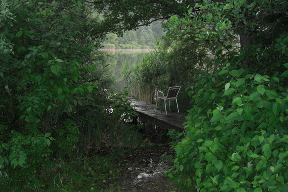 Praktikum am Hafnersee - 