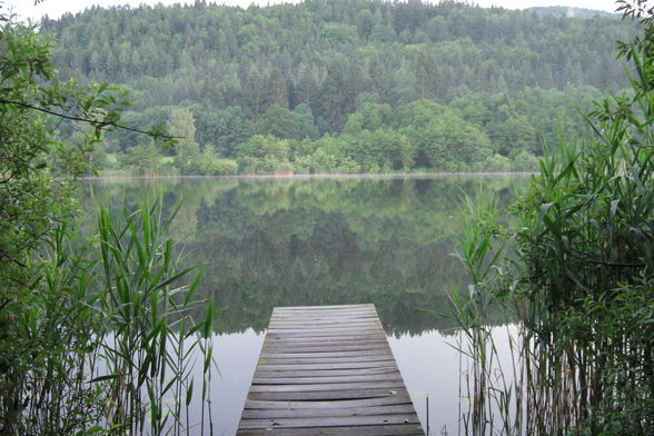 Praktikum am Hafnersee - 