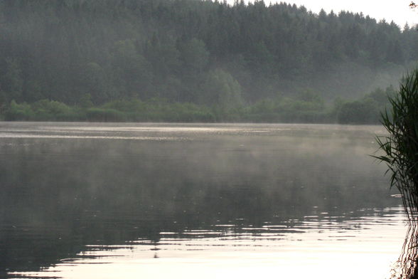 Praktikum am Hafnersee - 