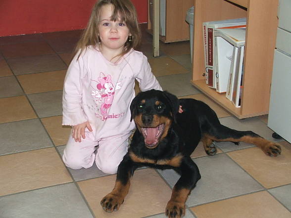 Mein hund greif,und meine schwster - 