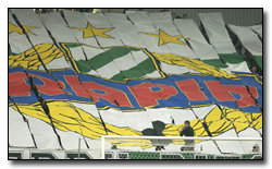 SK Rapid - 