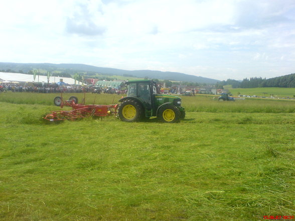 Grünlaundfest ST.Georgen - 