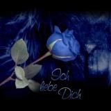 _________Die Liebe__________ - 