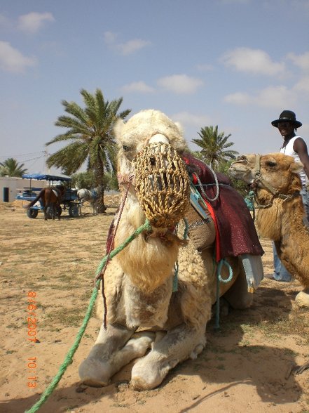 DJERBA_06/2007 - 