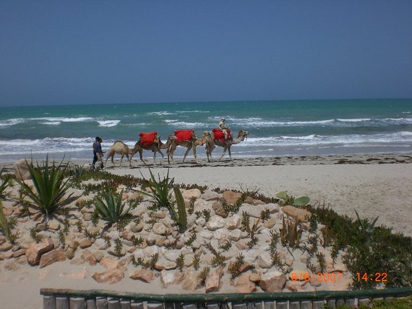 DJERBA_06/2007 - 